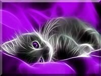 pic for Fractal Kitten 